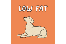 Low Fat Treats