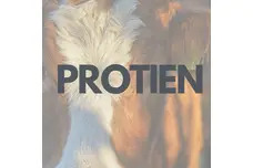 SHOP BY PROTEIN