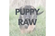 SHOP Puppy Raw Food