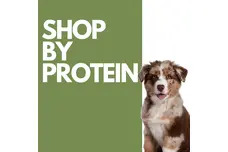 Shop By Protein