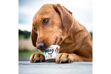 Bone Broth, Kefir, Ice Cream & Frozen Treats For Dogs