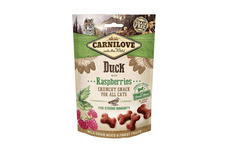 All Cat Treats/Chews