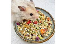 Hamster Food