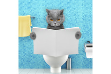 Cat Bathroom and Clean Up