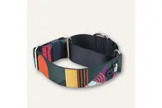 Collar & Lead Sets