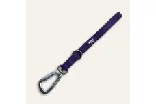 Training Leads