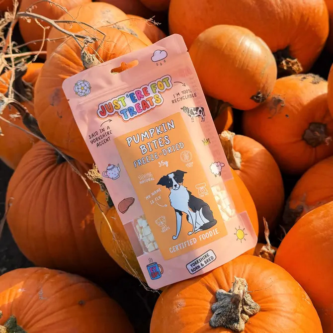 Freeze Dried Pumpkin Bites 35g
