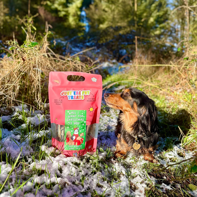 Christmas Variety bag - no chicken please!