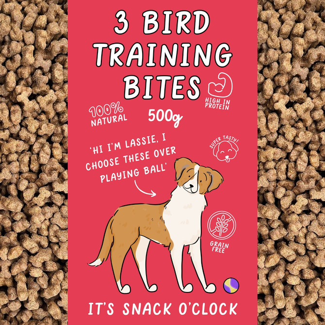 3 Bird Training Bites - 500g