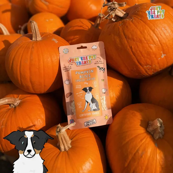 Freeze Dried Pumpkin Bites 35g