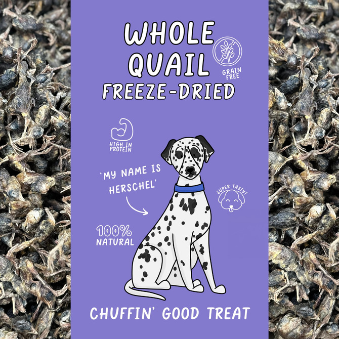 Freeze Dried Whole Quail 100g