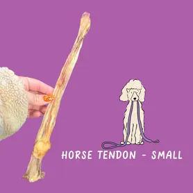 Small Horse Tendon - Single 