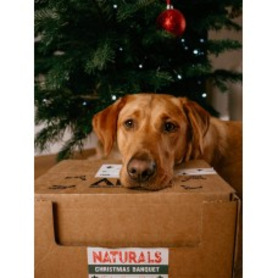 Anco Naturals Christmas Banquet Box