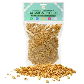 JR Freeze-Dried Salmon Fillet Treats - 200g