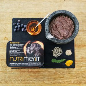 Nutriment  Support Recovery 500g