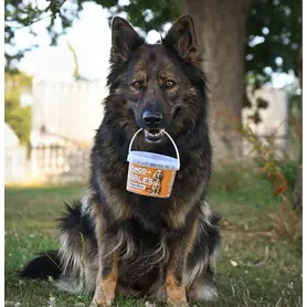 Anco Nibbles Chicken Treats 300g