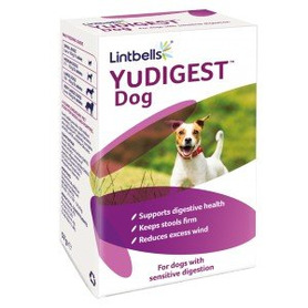 Lintbells YuDigest Dog