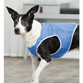 Keep Me Cool, Cooling Vests For Dogs
