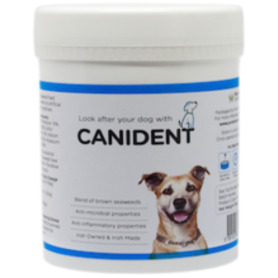 Canident | Look After Your Pets Health