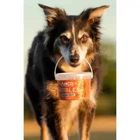 Anco Nibbles Salmon Treats 300g