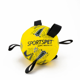 Sportspet Tab Football Size 4