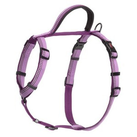 Halti Walking Harness Purple