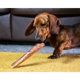 JR Ostrich Straw