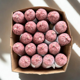 Bulmer Chicken 20-25% Bone (20 x 454g)