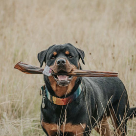 Anco Naturals - Mega Bully Stick