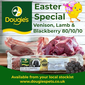 Dougies *Specials* Venison, Lamb & Blackberries - 1 Pack