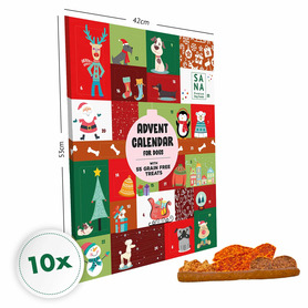 SANA Dog XL Advent Calender For Dogs