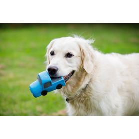 PetFace - Percy Pick Up Truck 