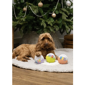 Rosewood Festive Plush Ball Duo