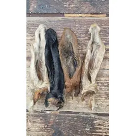 Hairy Goat Ear - Single