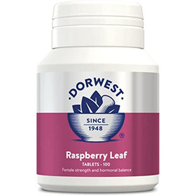 Dorwest Raspberry Leaf Tablets 100