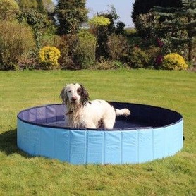 Rosewood Cool Down Foldable Pool