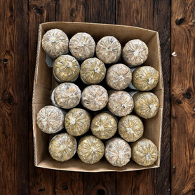 Bulmer Tripe (20 x 454g)
