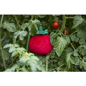 PetFace - Tigan Tomato