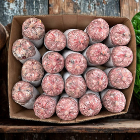 Bulmer Duck & Tripe 20-25% Bone (20 x 454g)