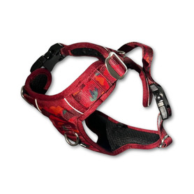 Twiggy Tags Alpenglow Adventure Harness