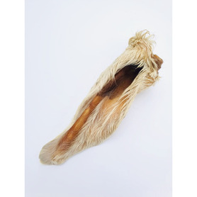 Anco Naturals - Hairy Goat Ear