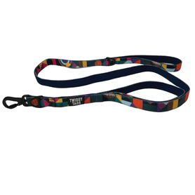 Twiggy Tags Aurora Adventure Lead Large (with Close Control Handle)