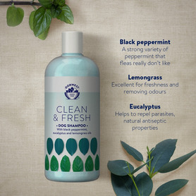 Dorwest Clean & Fresh Shampoo