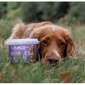 Anco Nibbles Turkey Treats 300g