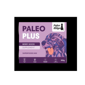 Paleo Plus Berry Good 300g