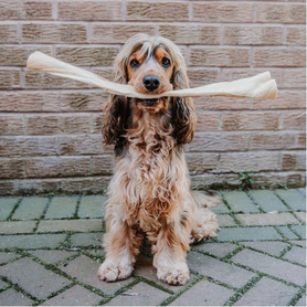 Anco Naturals - Giant Buffalo Stick