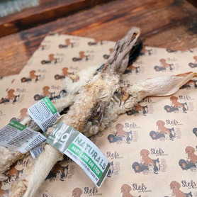 Anco Naturals - Hairy Lamb Ear Stick