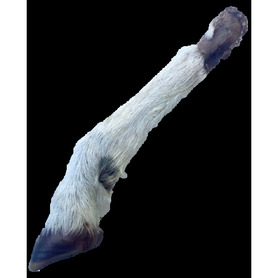 Anco Naturals Hairy Lambs Trotter - Single