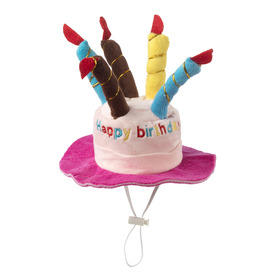 House Of Paws Birthday Cake Party Hat