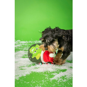 House of Paws - Festive Sprout Rope Dog Toy